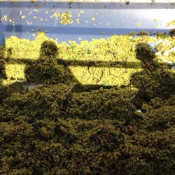 The Wine Group - Chardonnay coming in