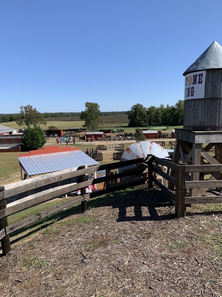 LYON FAMILY FARMS Updated August 2024 16 Photos 130 Bellview Rd