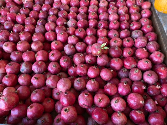 Del Bosque Farms by null