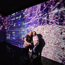 Artechouse Miami