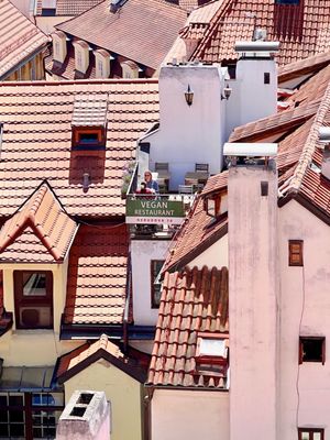 Vegan's Prague by null