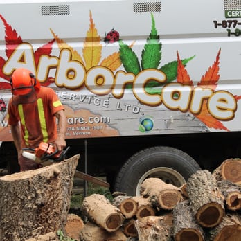 ArborCare - Tree Services Near Me - Calgary, Alberta