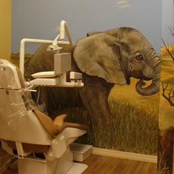 Michael J Purcell, DDS