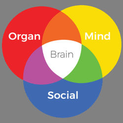 Natural Choices - Balance Your Life with Health Coaching