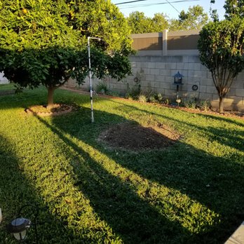 Bernabe Tree Service - End result after clean up. - Tree Services Near Me - Riverside, California