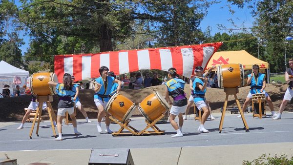 Cupertino Cherry Blossom Festival by null