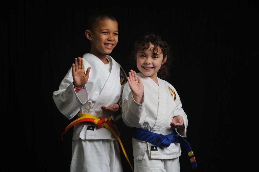 Master Youngs Tae Kwon Do Academy Logo
