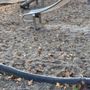 Photo of Spielplatz Wildgehege
