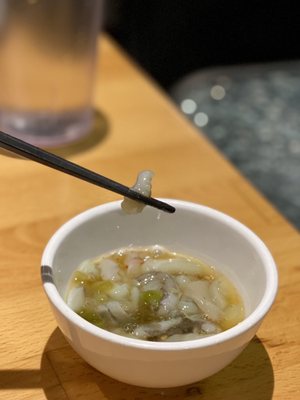 TORIBRO Ramen by null