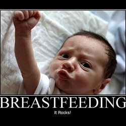 Dream Of Nature Mothering Services