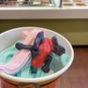 sweetFrog - Newburgh gift card