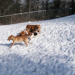 River Ridge Bed & Biscuit