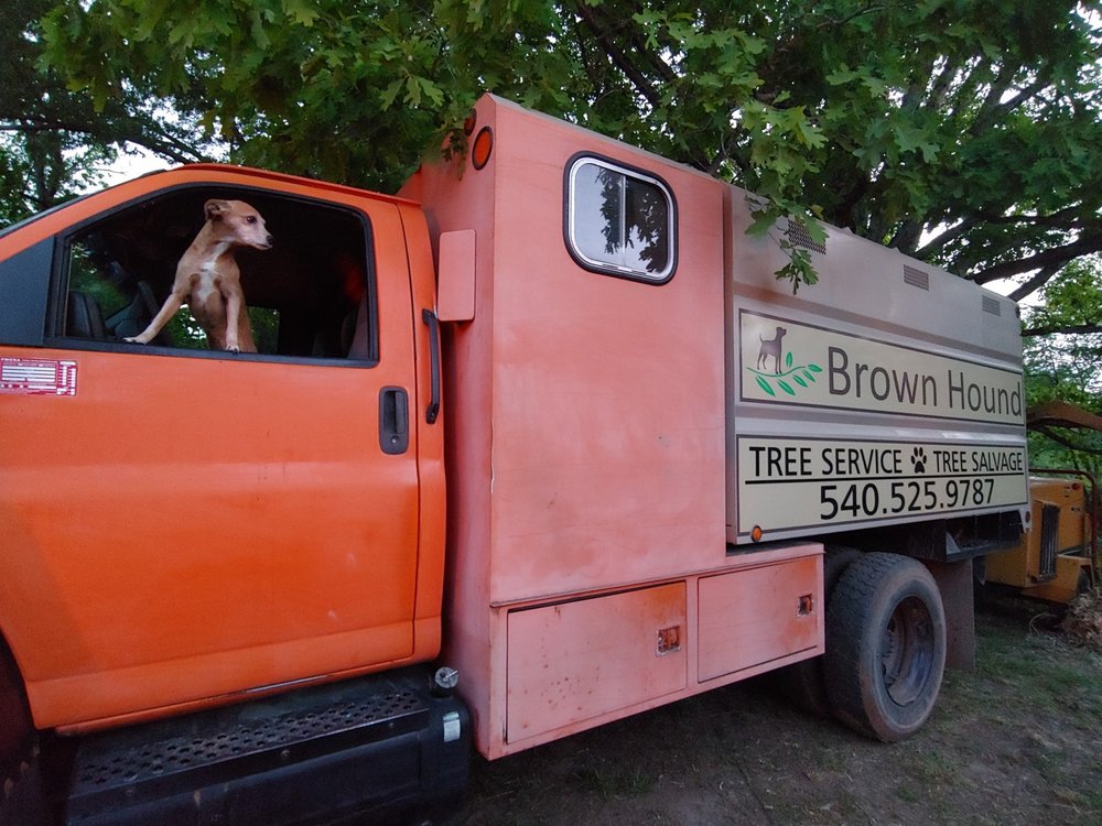 BROWN HOUND TREE SERVICE Updated October 2024 36 Photos 2141