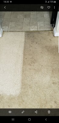 Albert's Carpet Cleaning