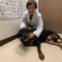 Photo of Amador Pet Hospital