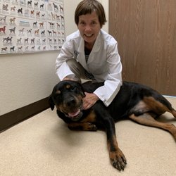 Amador Pet Hospital