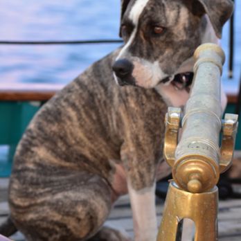 Hindu Sailing Charters - Boat Charters Near Me Hindu Sailing Charters - Boat Charters Near Me