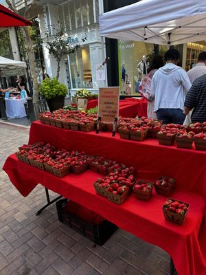 Santana Row Farmers' Market (Open May - September) by null