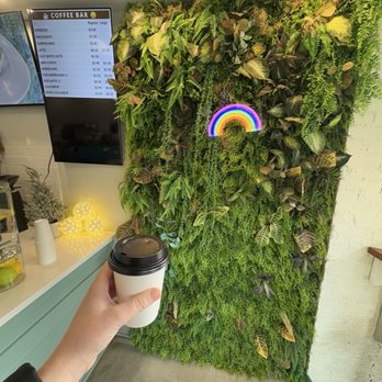 Zeleno - BIBI'S BEET LATTE - Sandwiches Near Me - Washington, DC, District of Columbia