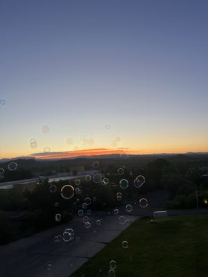The View Motel by null