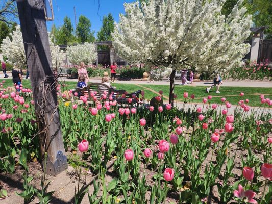 Paine Art Center & Gardens by null