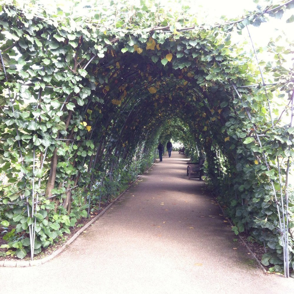 Kensington Gardens - Parks Near Me - London, XGL