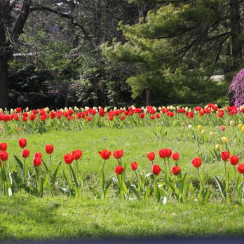 Lexington Cemetery - Funeral Services & Cemeteries Near Me - Lexington, Kentucky Lexington Cemetery - Funeral Services & Cemeteries Near Me - Lexington, Kentucky
