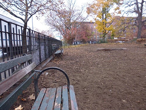 Herbert Von King Park by null