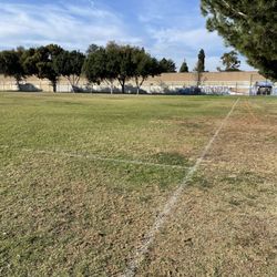 Field