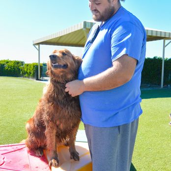 Elaine's Pet Resorts - Pet Training Near Me - Madera, California Elaine's Pet Resorts - Pet Training Near Me - Madera, California
