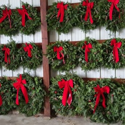 Tannenbaum Farms