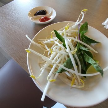 Ginger Oriental Resturant - Veggies and tiny bits of sauce for pho - Pan Asian Near Me - Grand Junction, Colorado