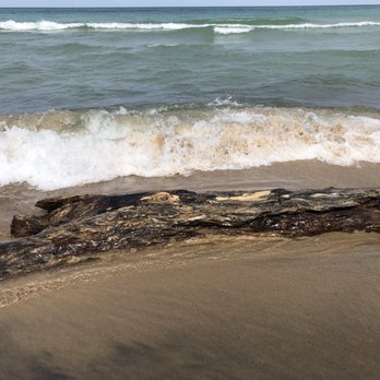 Indiana Dunes State Park - Parks Near Me - Chesterton, Indiana Indiana Dunes State Park - Parks Near Me - Chesterton, Indiana