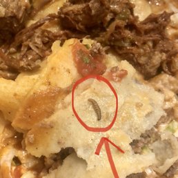 Grand Azteca Burrito