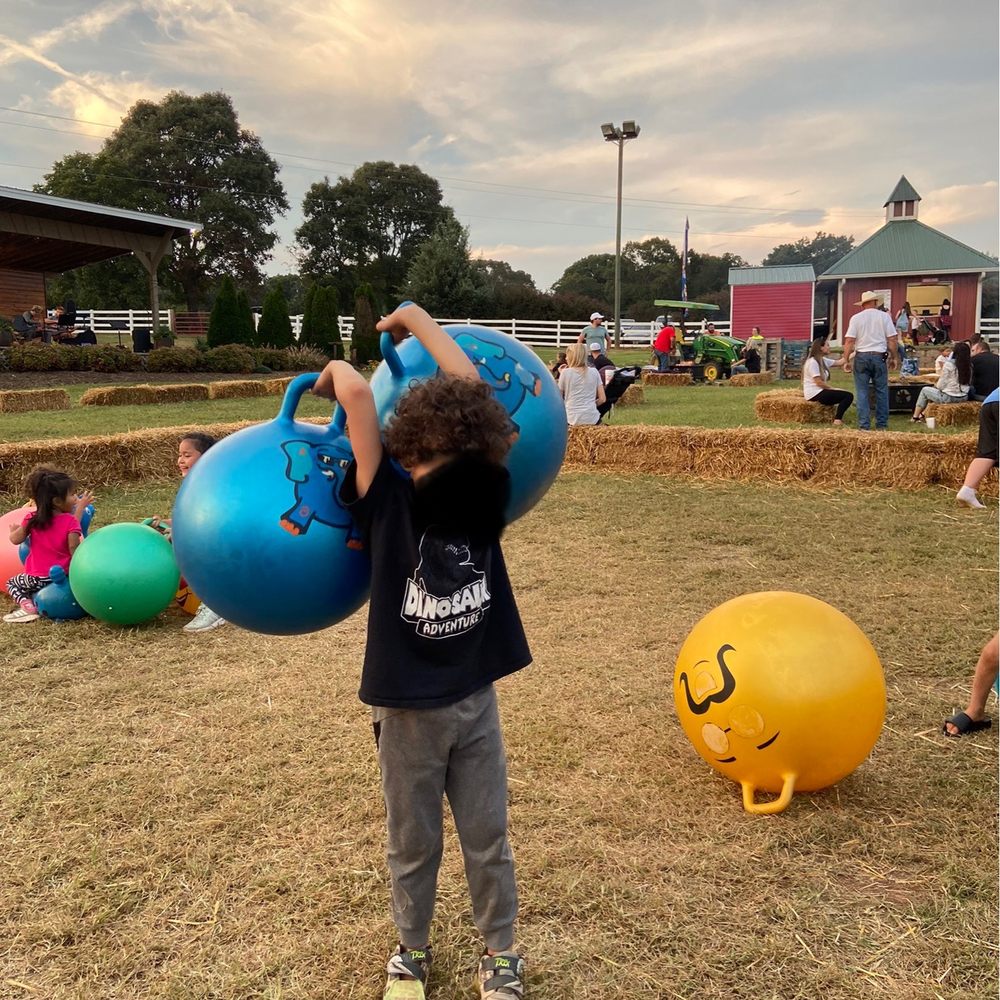 a young boy holding a bunch of balloons a young boy holding a bunch of balloons