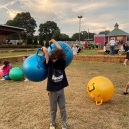 a young boy holding a bunch of balloons a young boy holding a bunch of balloons