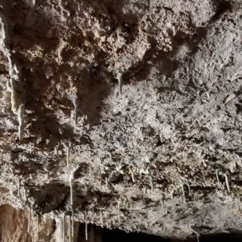 Westcave Outdoor Discovery Center - Parks Near Me - Round Mountain, Texas