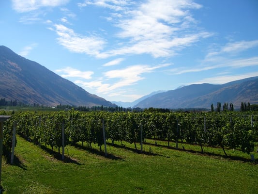 Crowsnest Vineyards by null