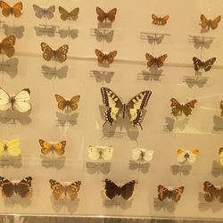Naturkundemuseum Potsdam