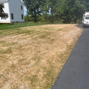 TruGreen Lawn Care - Chinch bug and sod web worm damage - Tree Services Near Me - South Plainfield, New Jersey TruGreen Lawn Care - Chinch bug and sod web worm damage - Tree Services Near Me - South Plainfield, New Jersey