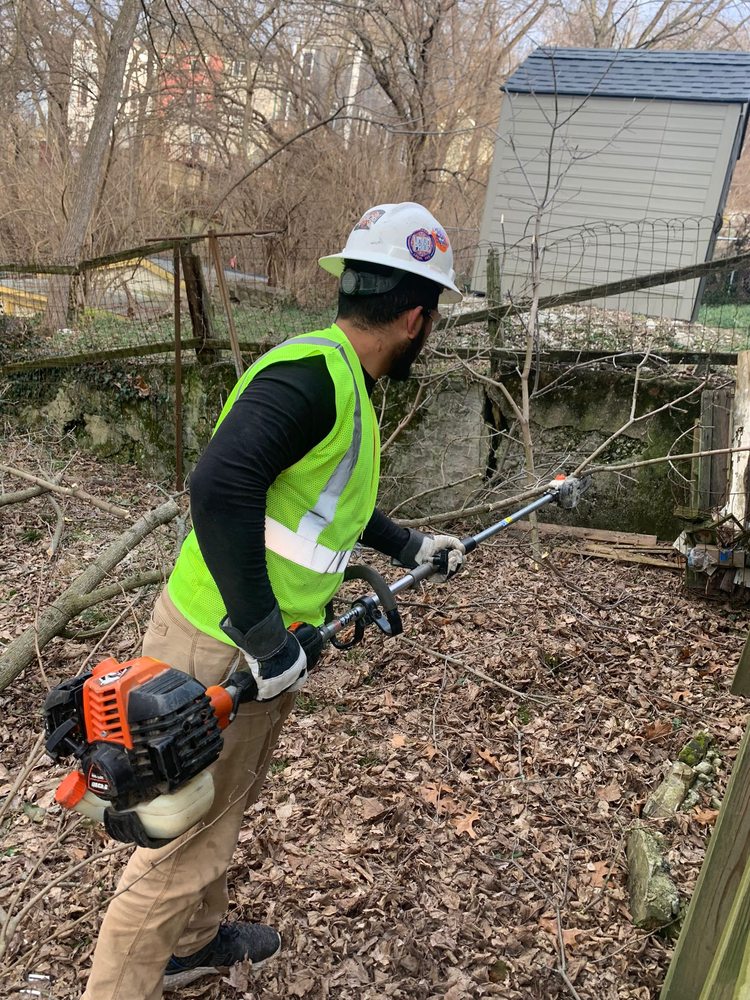 Nicas Tree Service - tree service in Cincinnati, OH