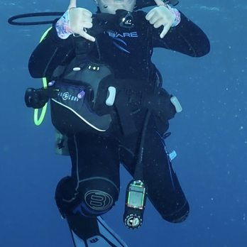 Banyan Tree Divers Maui - Scuba Diving Near Me - Lahaina, Hawaii Banyan Tree Divers Maui - Scuba Diving Near Me - Lahaina, Hawaii