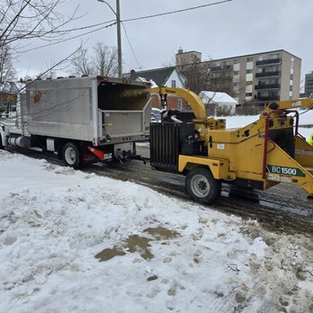 Eaton Tree Solutions - Tree Services Near Me - York, Ontario Eaton Tree Solutions - Tree Services Near Me - York, Ontario