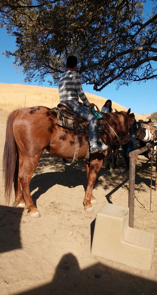 CENTRAL COAST BOARDING & TRAINING CENTER Updated August 2024 1950