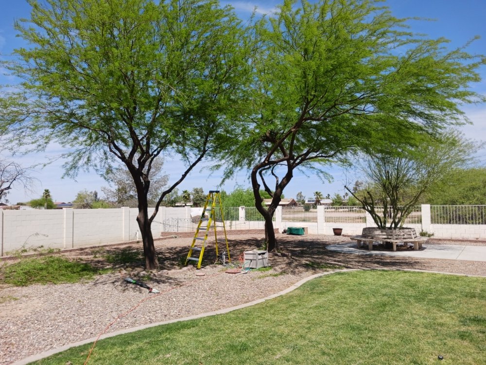 ZOS YARD AND MAINTENANCE Updated March 2024 11 Photos Eloy