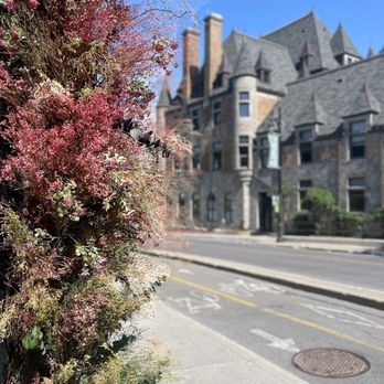 Chez Mère-Grand - a view of a street with a building in the background - Coffee & Tea Near Me - Montreal, Quebec Chez Mère-Grand - a view of a street with a building in the background - Coffee & Tea Near Me - Montreal, Quebec