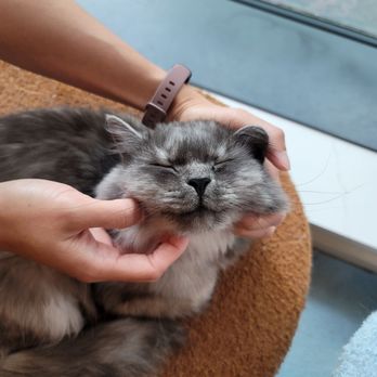 Petpls - Pet Stores Near Me - Richmond, British Columbia Petpls - Pet Stores Near Me - Richmond, British Columbia