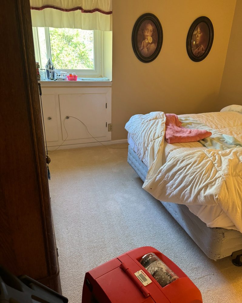 PEOPLES PRISTINE CLEANING SERVICE Updated October 2024 Request a