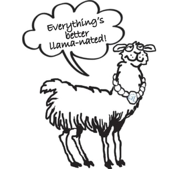 Gall Laminating - Owner, Jay has lamas on his farm! - Framing Near Me - Lancaster, Pennsylvania