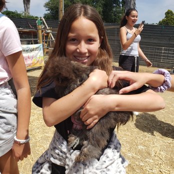 SoCalMiniPigs - Pet Breeders Near Me - Valley Center, California